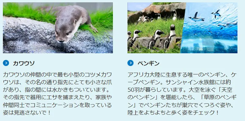 No.5 サンシャイン水族館 Webサイト100選