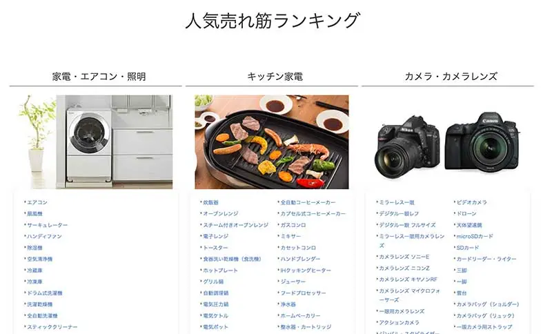 No.069  ビッグカメラ　Webサイト100選