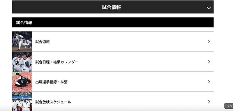 No.081 千葉ロッテマリーンズ Webサイト100選